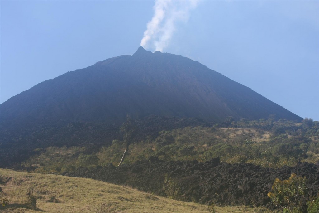 Pacaya